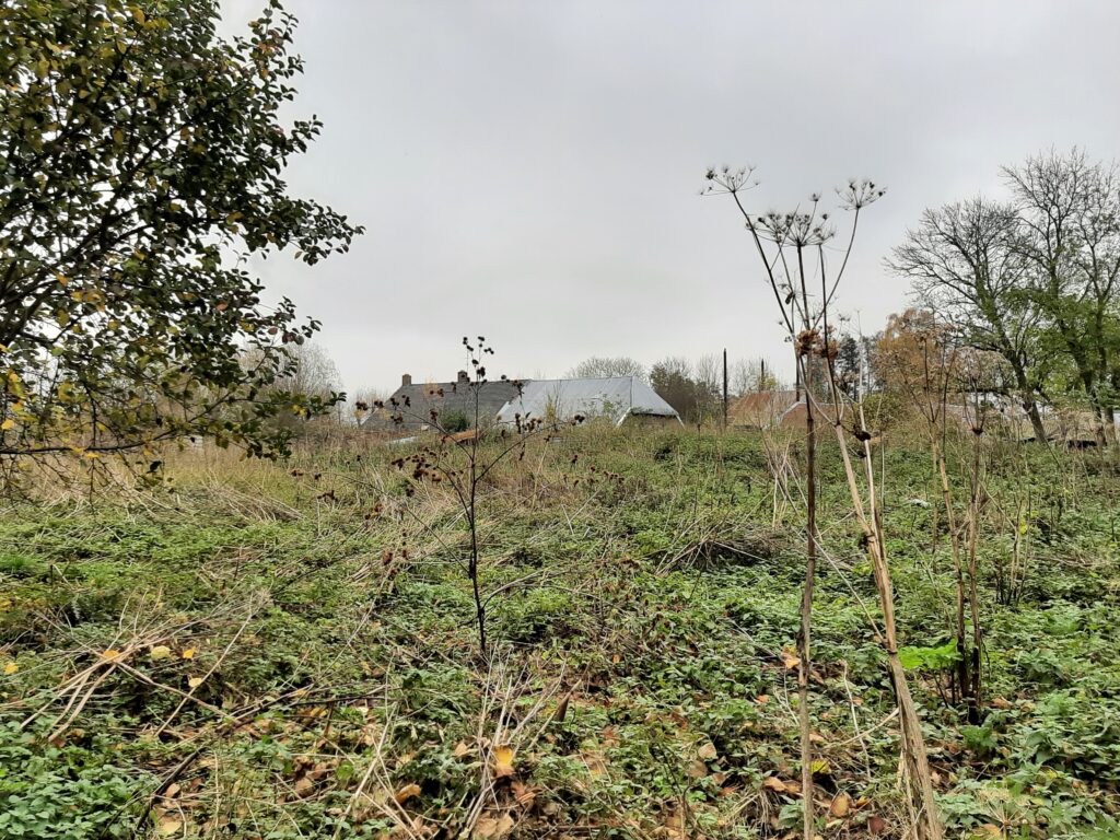 our-bulgarian-adventure-farm-4-Foto-by-Alex-de-Jong-Attest-Communicatie